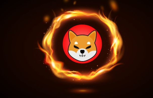 Shiba Inu (SHIB)